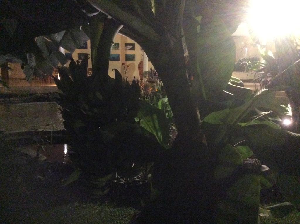 Villa Costa Plenty Sanur Eksteriør billede